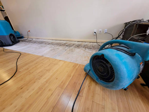 Professional Flood Damage Cleanup technician working in Northbrook, OH